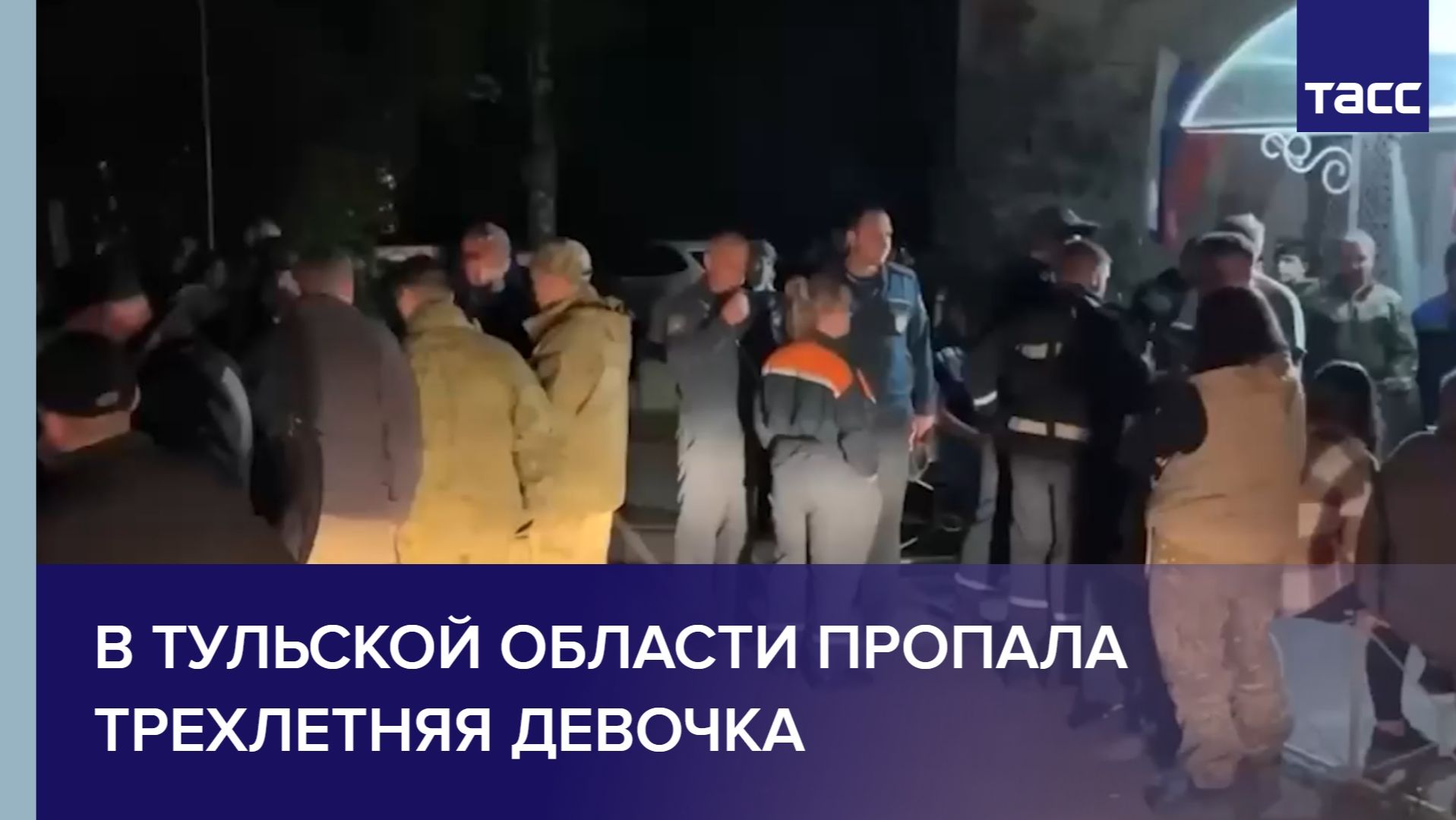 В Тульской области пропала трехлетняя девочка