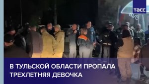 В Тульской области пропала трехлетняя девочка
