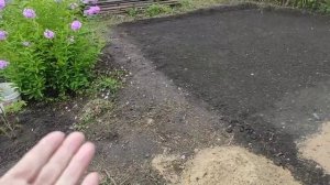 91-.Дача..новая клумба😁раскопки продолжаются.30.07.22.