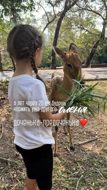 Сразу понятно, что у меня одни дочки?