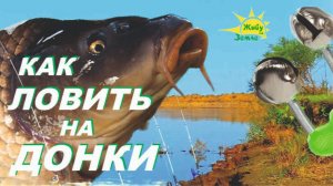 Как ловить на Донки. Лучшая Оснастка, Лучшая Прикормка