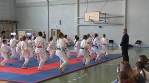 Сенсеи каратэ-до в Шарыпово
