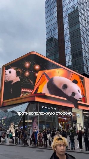 Локация, которая взорвёт ваши соцсети в 2026 году 🐼💥