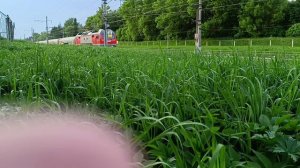ЭП2К с поездом Санкт Петербург Оренбург
