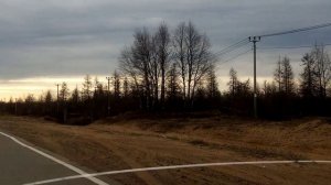 Весенний заяц