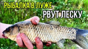 Мормышинг. Откуда здесь ЭТО?! Проверяю городскую лужу у ТЦ с мормышкой 0.2 грамма