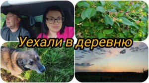 ЗАЧЕМ УЕХАЛИ В ДЕРЕВНЮ СРЕДИ НЕДЕЛИ 🤔