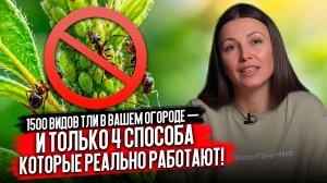 САМЫЕ ЛУЧШЕ СРЕДСТВА И СПОСОБЫ избавления от ТЛИ и Муравьев!