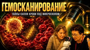 🔬 ЖИВАЯ КРОВЬ ПОД МИКРОСКОПОМ: Как разбудить свой иммунитет?
