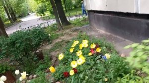 20-21 мая 2026. Четвёртый поход к зубному. Разное.