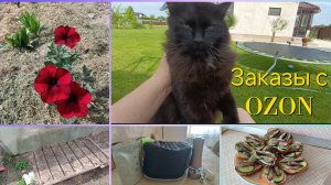 Влог.Высаживаю🏵️ цветы.Бутерброды со🐟 шпротами.Снова сею морковь 🥕