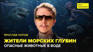 Жители морских глубин. На что похожа рыба-гоблин? | Ярослав Попов Лекция 2026 | Мослекторий