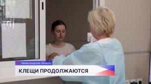 Свыше 1,5 тысячи человек в Нижегородской области обратились с жалобами на укусы клещей