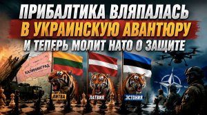 ЦУГЦВАНГ ПО-ПРИБАЛТИЙСКИ: прибалтийские тигры загнали себя в капкан, из которого нет выхода