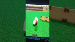 наблюдаю за наводнением часть3 в рб