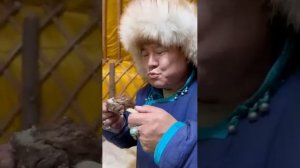 Как традиционные монголы проводят зиму на лугах? #еда #кулинария #Монголия