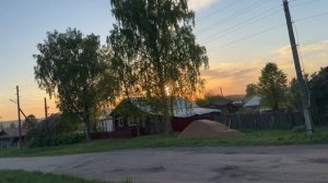 Цветет сирень