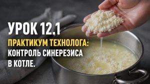 УРОК 12.1 ПРАКТИКУМ ТЕХНОЛОГА: КОНТРОЛЬ СИНЕРЕЗИСА В КОТЛЕ
