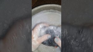 8788.mp4