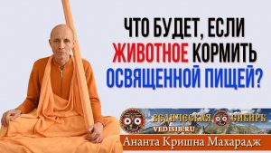 Что будет, если животное кормить освященной пищей?