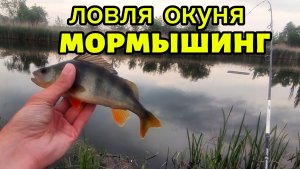 Окунь на мормышку. Что можно поймать на мормышку за час?!
