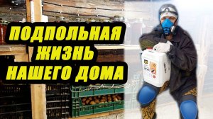 67. ПРЕОБРАЗОВАНИЕ ПОДВАЛА В ДЕРЕВЕНСКОМ ДОМЕ