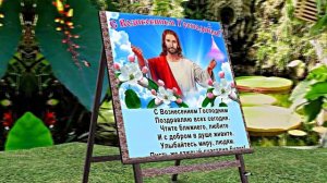 С Вознесением Господним 5! Праздничное Поздравление от Киностудии Мудрого Кота Тимофея!!!