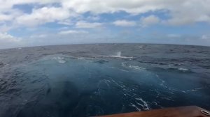Самые Невероятные Случаи в Море, Снятые на Камеру