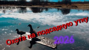 Охота в Якутии 2026. Описание обязательно к просмотру!