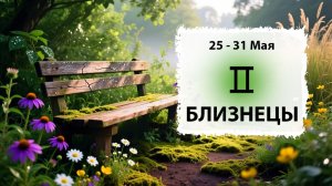 БЛИЗНЕЦЫ ♊ 25 - 31 Мая 2026 | Расклад таро на неделю для знака Зодиака Близнецы