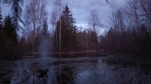 Третий выход сезона  26.похолодало .