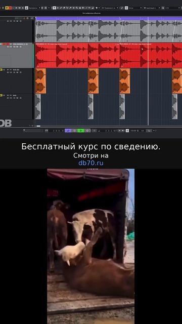 Заметка звукорежиссера №642. Аранжировка, сведение, мастеринг треков.