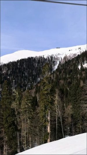 Подъём в на канатной дороге на Эдельвейс 2320, Роза Хутор В горах. In the mountains  #Russia #Travel