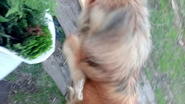 приехал домой, смотреть онлайн