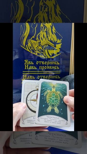 Совет дня🐸 21 мая😇 #новинка#семья#работа#отношения#дом смотреть онлайн