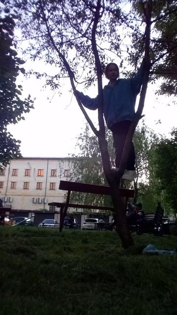 лезу на дерево,вы думали что я теперь не буду снемала на канале? смотреть онлайн