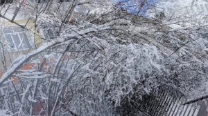 Май в Якутии ❄️