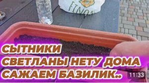 САМВЕЛ АДАМЯН, СЫТНИКИ, СВЕТЛАНЫ НЕТУ ДОМА, САЖАЕМ БАЗИЛИК..