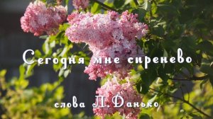 Сегодня мне сиренево