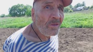 Дед Матвей купил цыплят