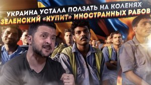 Западенцам надоело стоять на коленях! Деньги на гастарбайтеров Зеленский найдёт!