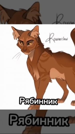 Смерти котов воителей часть 1
