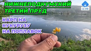 Рыбалка на карпа в мае. Карп на поплавок. Ставропольский край. Нижнеподкумский третий пруд.