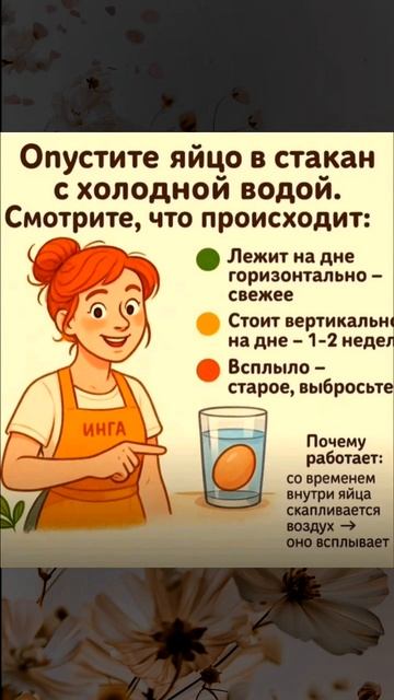 Как понять свежие ли яйца?