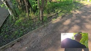 Смотри какая природа и условия для прогулок и занятия спортом. Утро солнце бегаем.