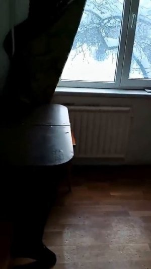 Вот эта квартира , которую я выбрала )