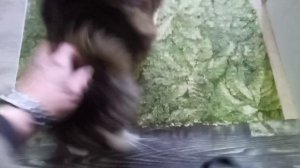 Встречают с суточного дежурства)))