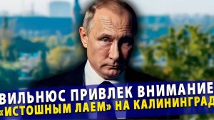 Вильнюс привлек внимание «истошным лаем» на Калининград