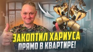 ЗАКОПТИЛ ХАРИУСА ПРЯМО В КВАРТИРЕ // НАСТОЯЩИЙ ДЫМ // КОПТИЛКА HANHI 4