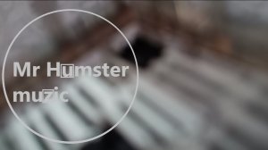 Mr Humster muzic / inside